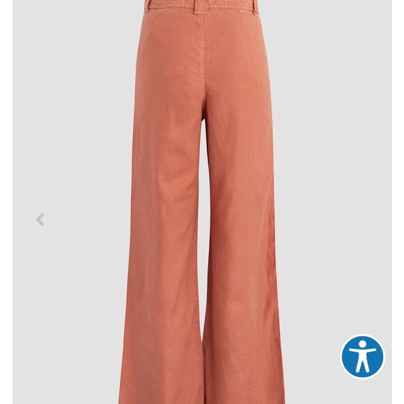 Hudson Size 34 Drawstring Bronze Pants NWT - Picture 7 of 9